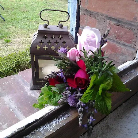 Les Hotes Des Guillemets Bed & Breakfast