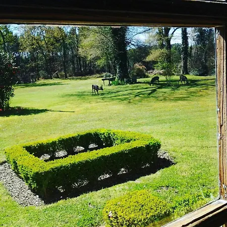 Les Hotes Des Guillemets Bed & Breakfast *