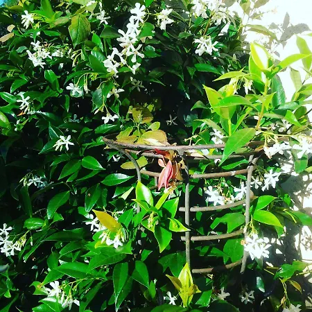 Les Hotes Des Guillemets Oda ve Kahvaltı Laglorieuse