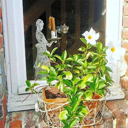 Couette-café Les Hotes Des Guillemets 3*