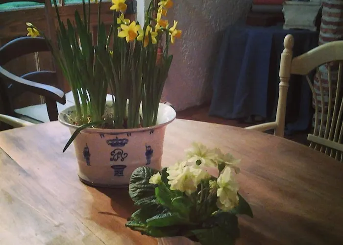 Les Hotes Des Guillemets