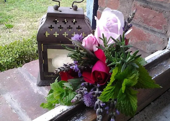 Les Hotes Des Guillemets Bed & Breakfast