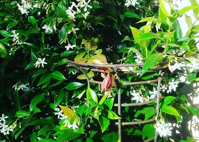 Les Hotes Des Guillemets Bed & Breakfast Laglorieuse